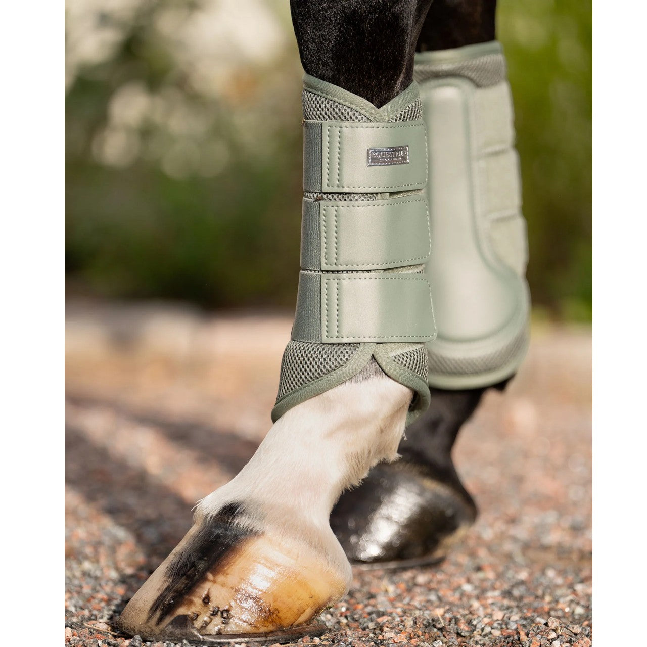 Dressurgamaschen Pistachio White Mesh Brushing Boots