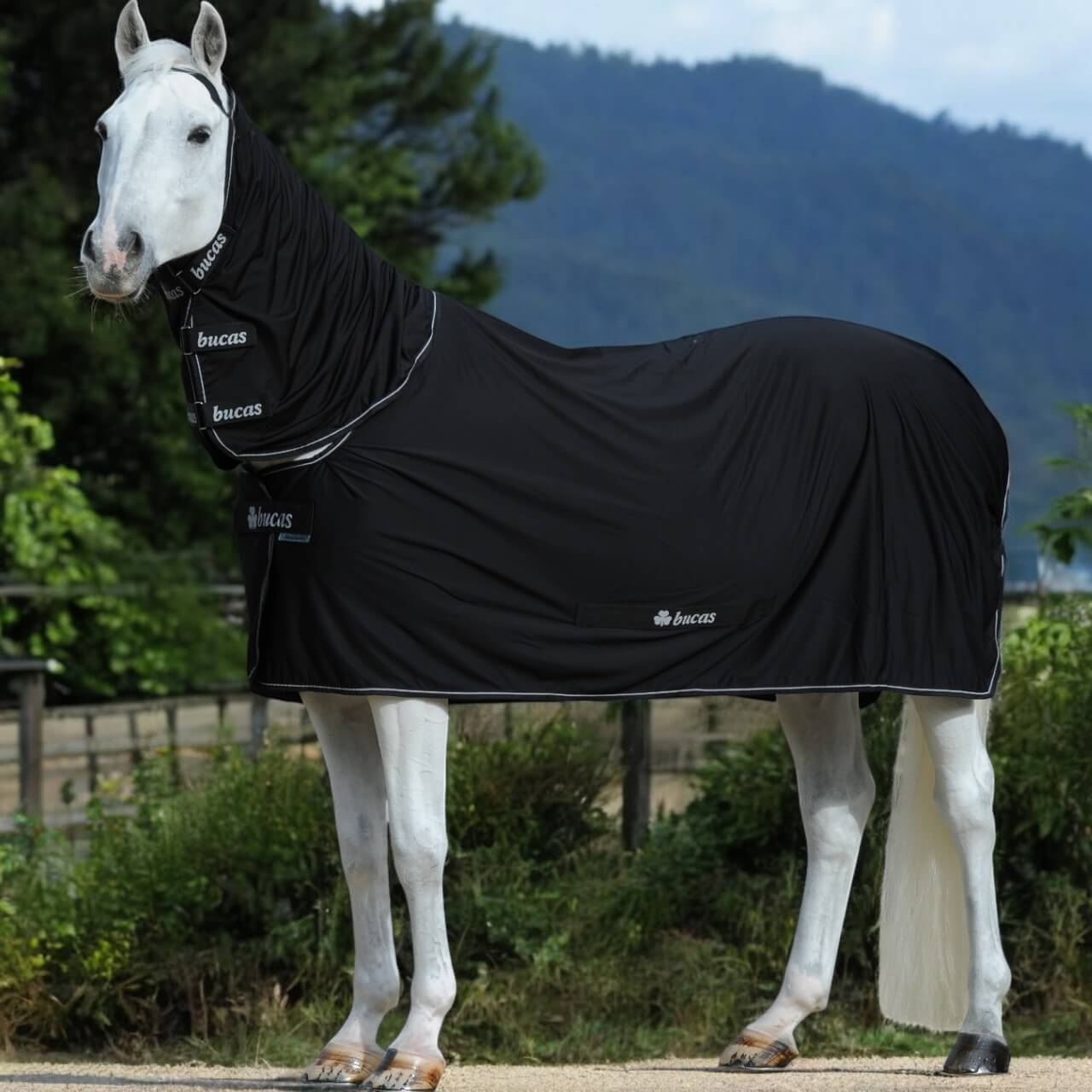 Stalldecke 0g Power Cooler & Neck Multifunktionsdecke