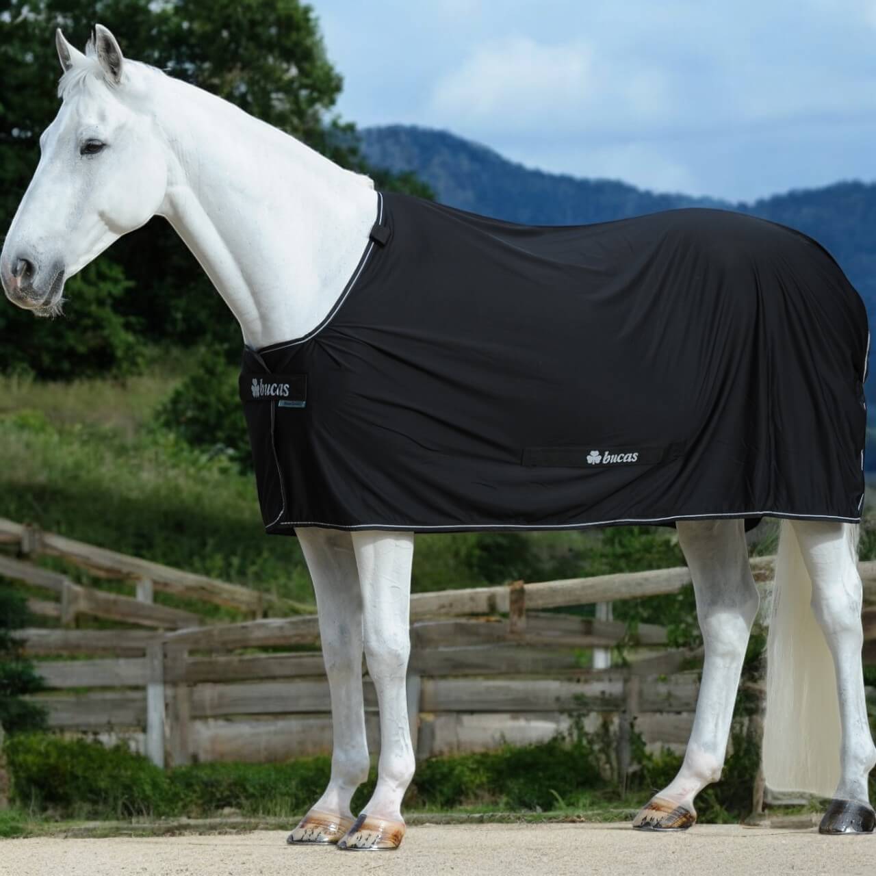Stalldecke 0g Power Cooler & Neck Multifunktionsdecke