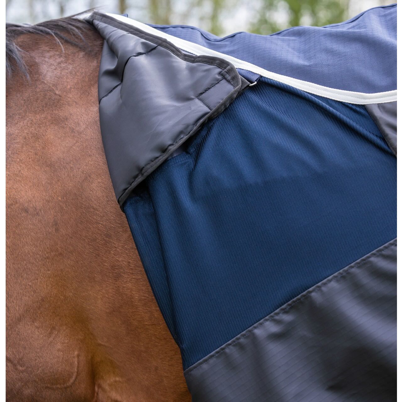 Covalliero Regendecke FS 2026 Kombidecke, blau, Detailaufnahme am Pferd.
