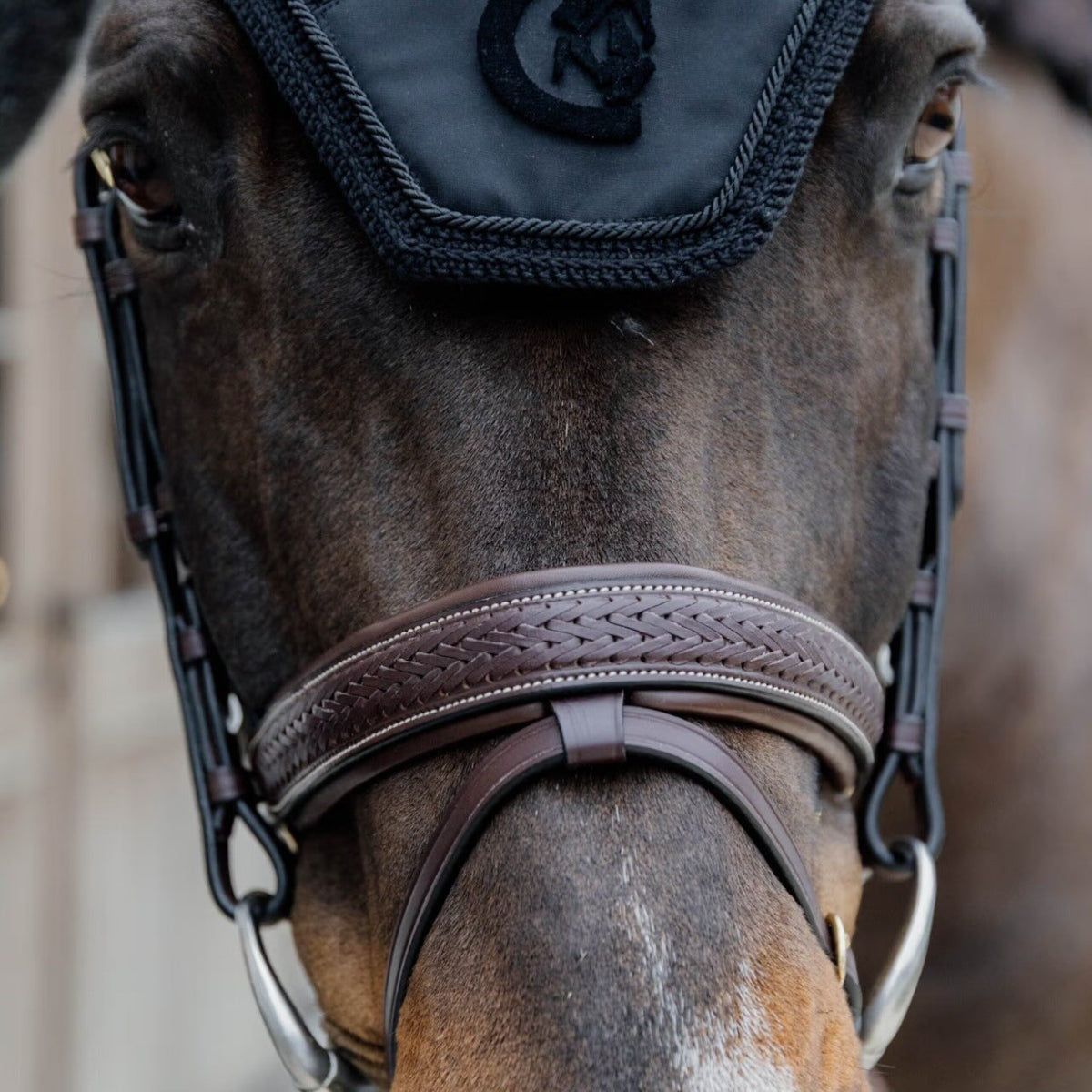 Reithalfter Geflochten Medium mit Pull Trense, braun, Detailaufnahme am Pferdekopf.