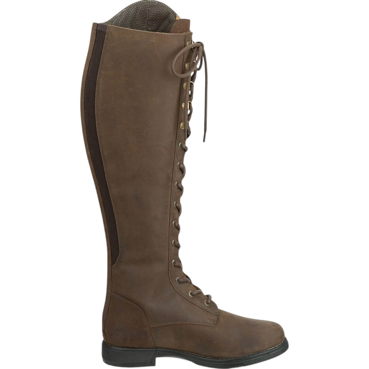 Reitstiefel Longford All Year Waterproof Stiefel
