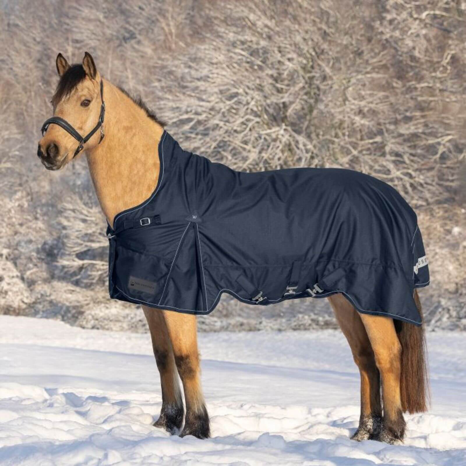 Outdoordecke 200g High Neck Scandic Weidedecke