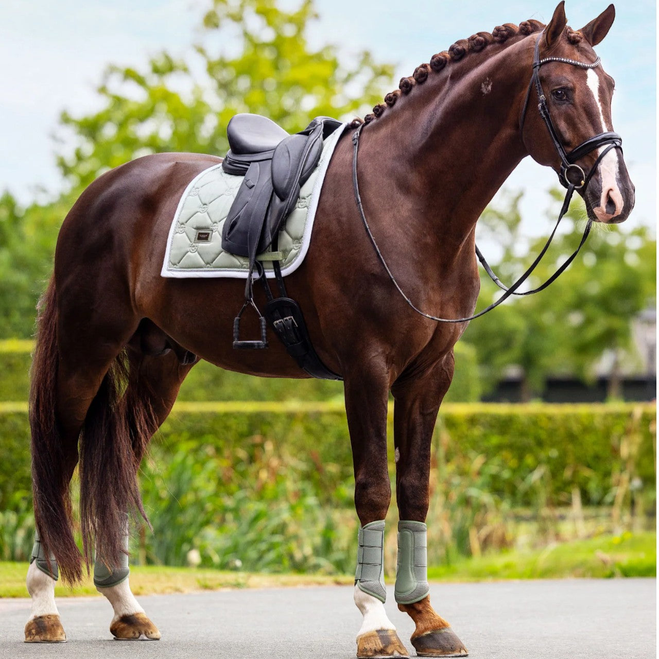 Dressurgamaschen Pistachio White Mesh Brushing Boots