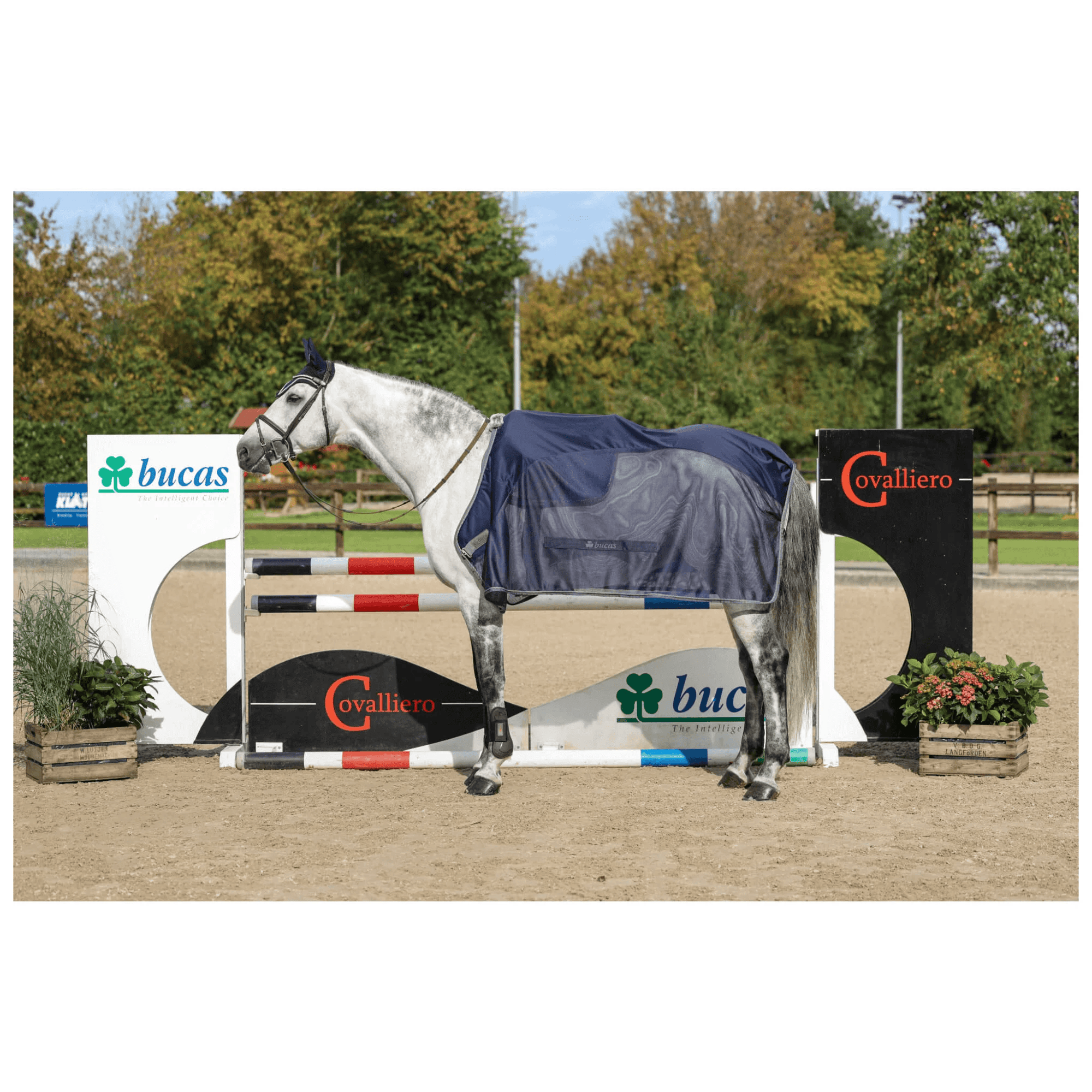 Abschwitzdecke Show-Line Competition Cooler Hängerdecke
