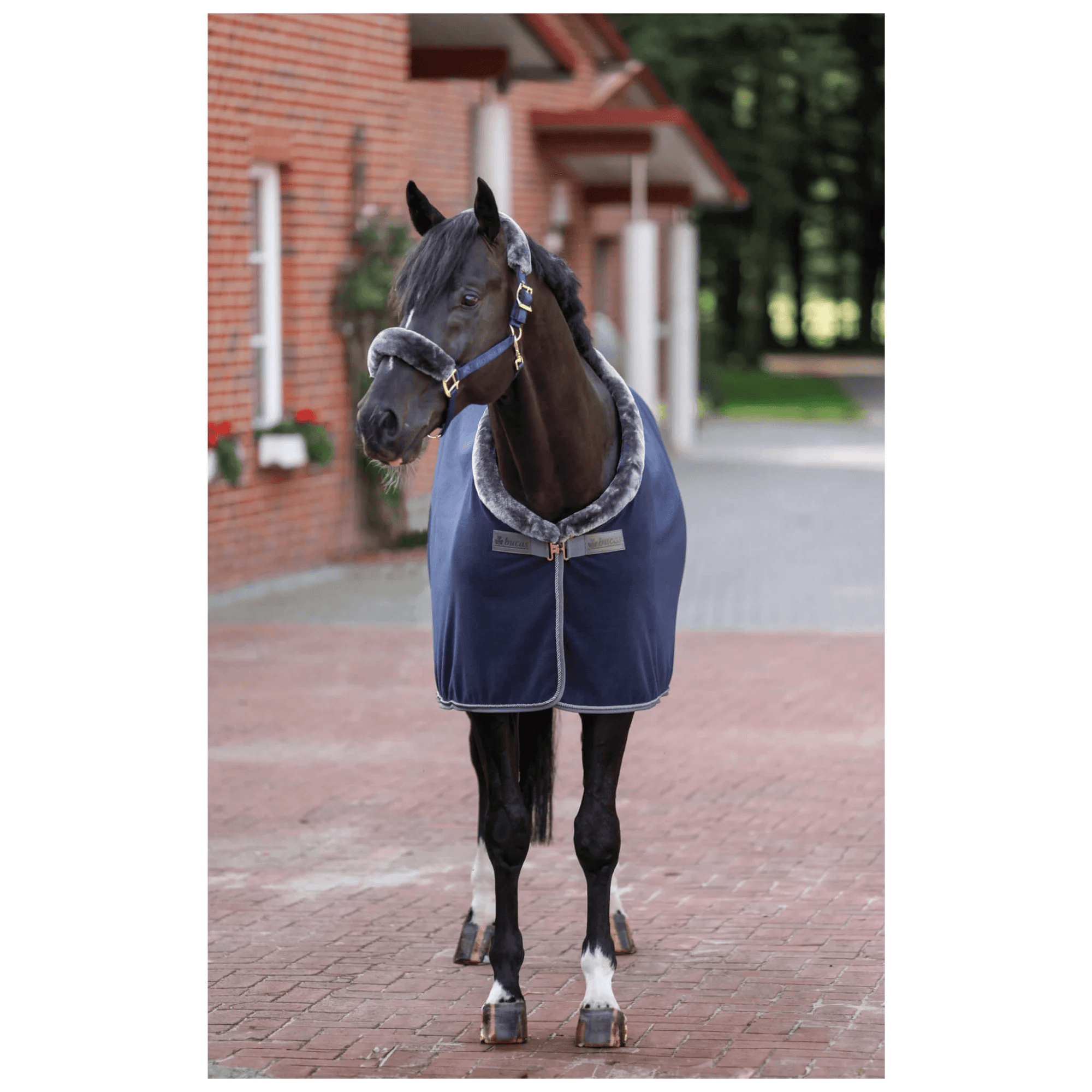 Abschwitzdecke Show Line 400 Fleecedecke