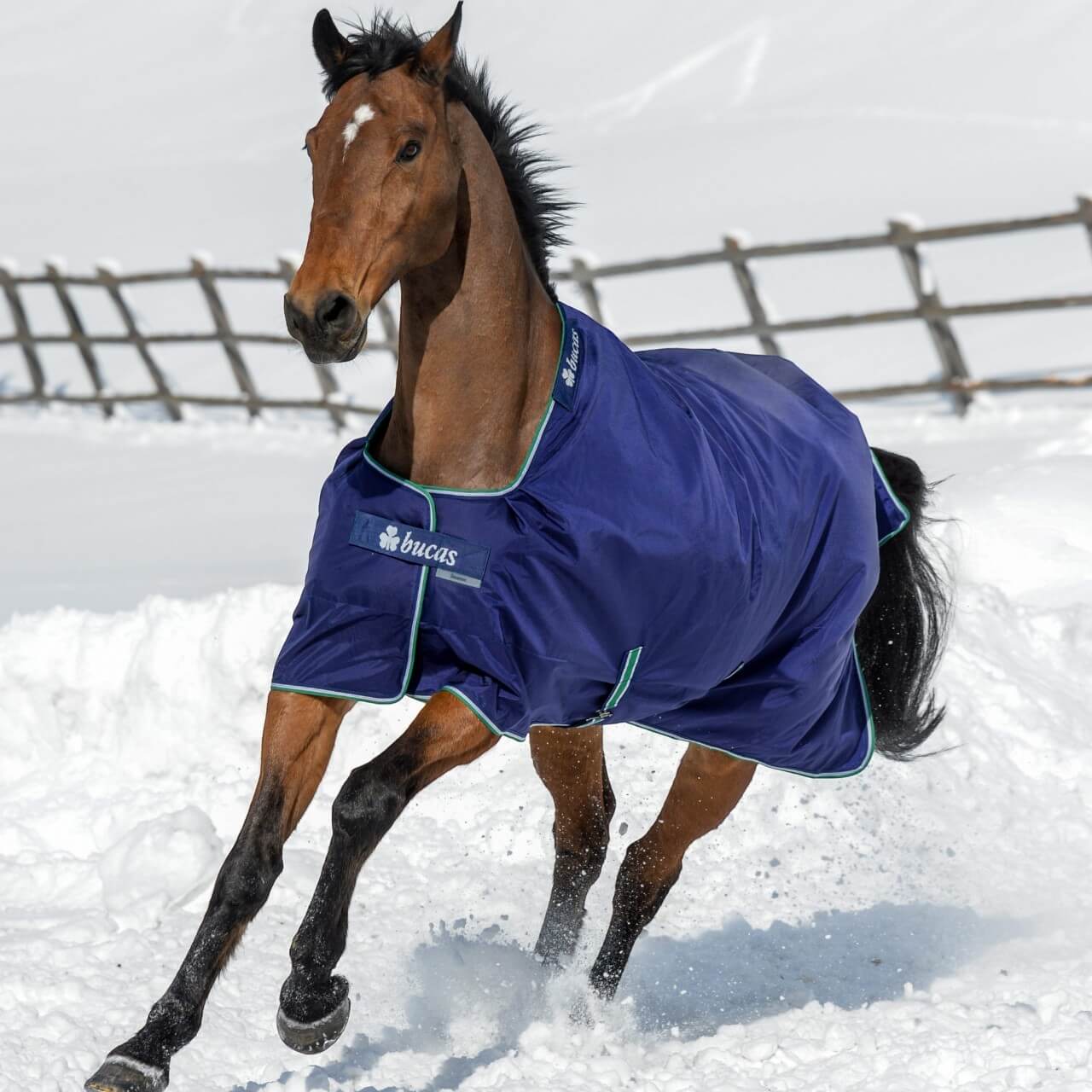 Outdoordecke 300g Smartex Turnout Extra Weidedecke