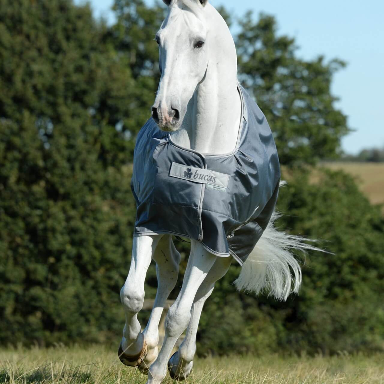 Outdoordecke 300g Smartex Turnout Extra Weidedecke