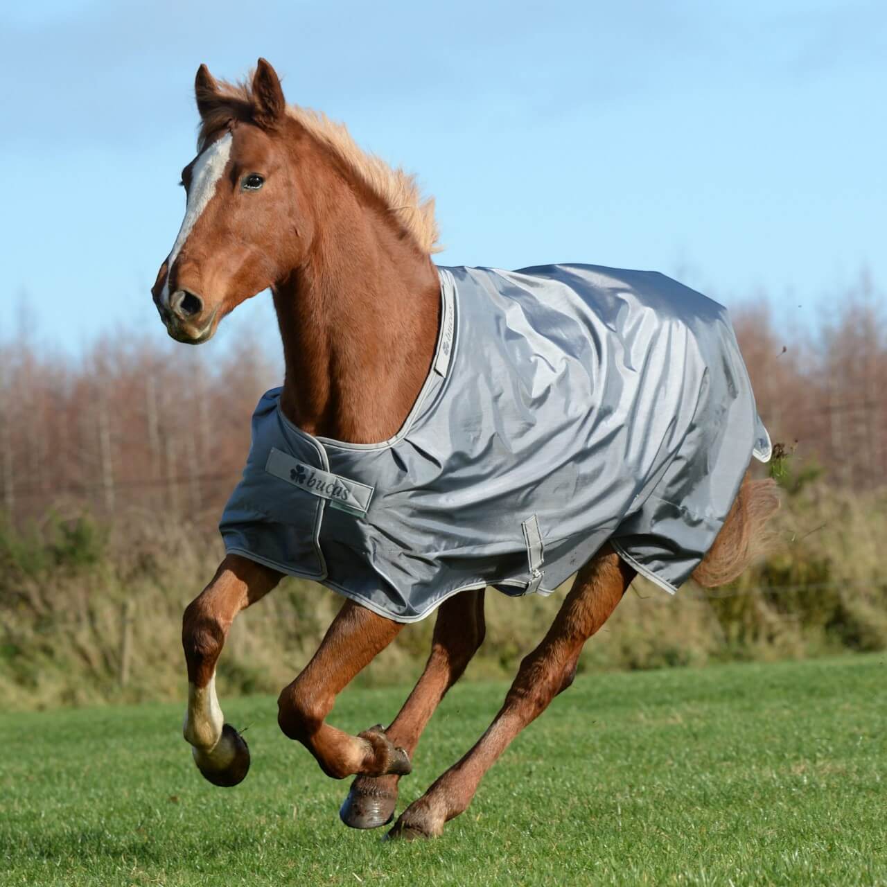 Outdoordecke 300g Smartex Turnout Extra Weidedecke