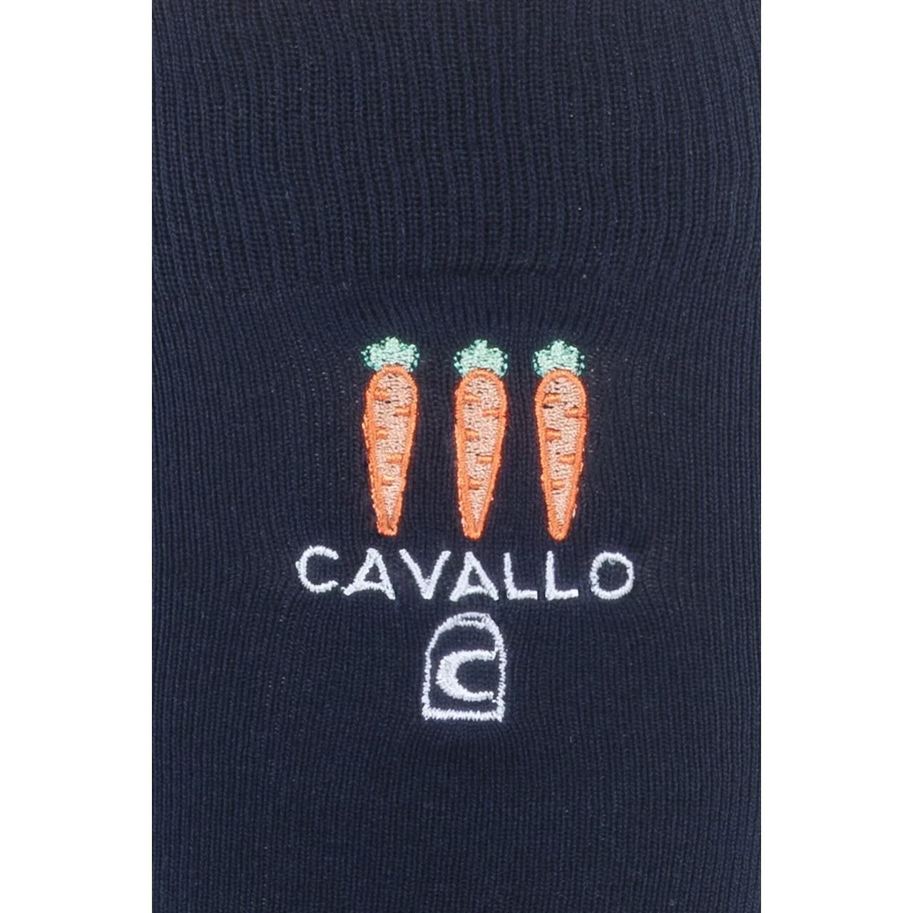 Socken CAVALSONJA FS 2026 Funktionsstrumpf