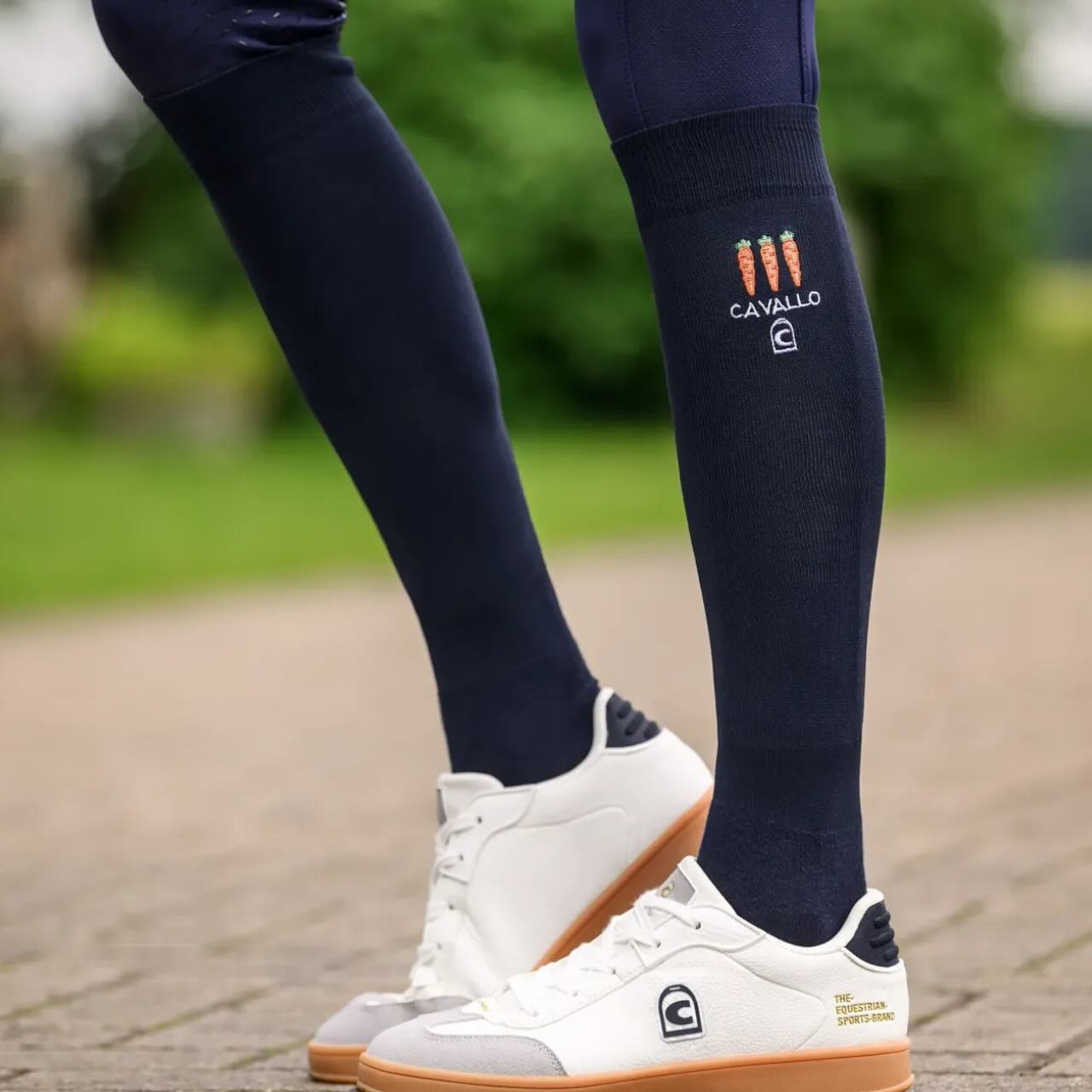 Socken CAVALSONJA FS 2026 Funktionsstrumpf