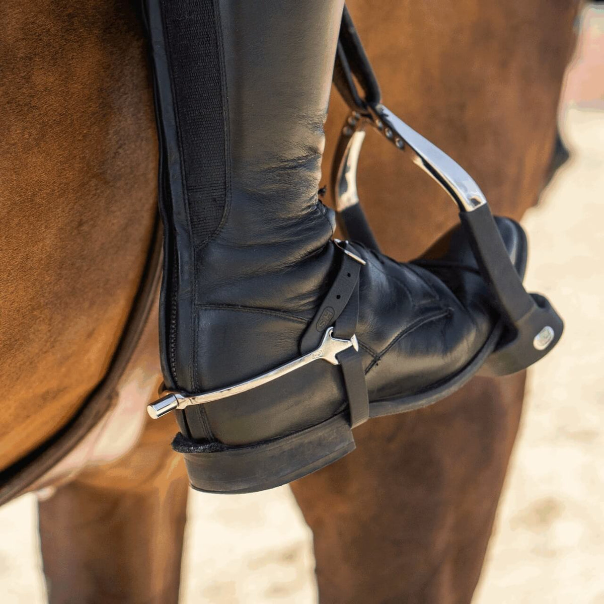 Sprenger Sporen BootProtect Exklusiv Matt 15mm flach gummiert, Schwarz, Detailaufnahme am Stiefel am Pferdebein.