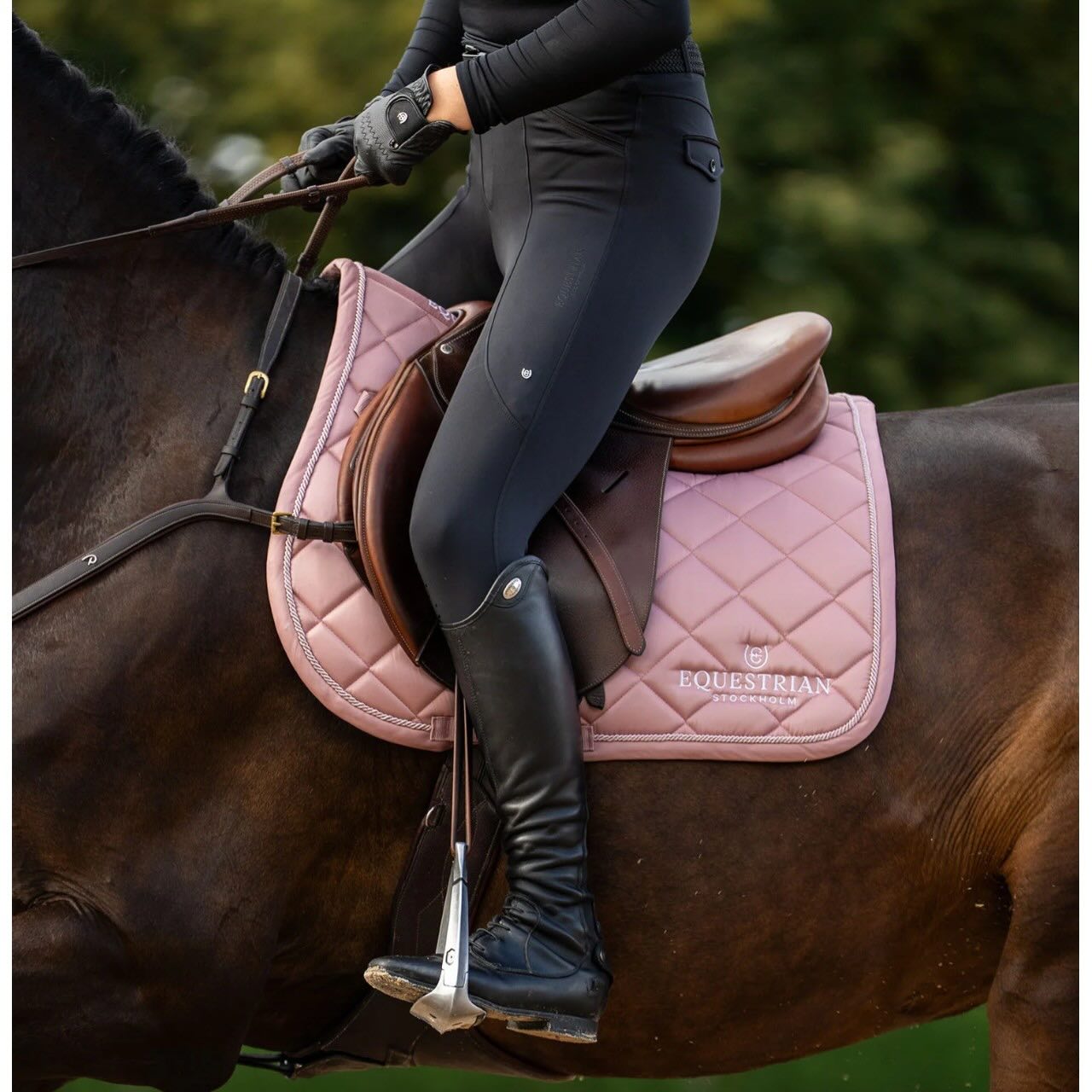 Springschabracke Line Pink Schabracke