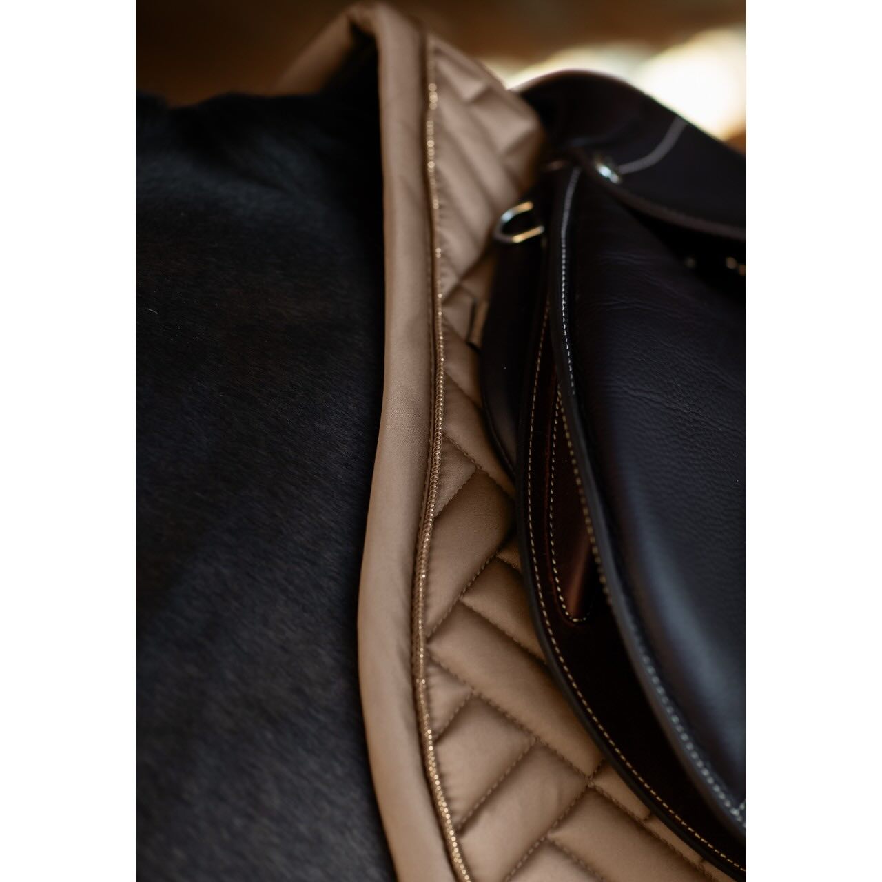 Springschabracke Modern Champagne Schabracke