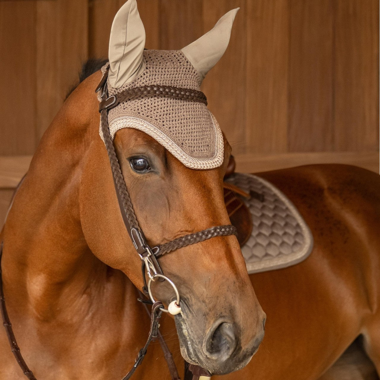 Springschabracke Classic Onion Plaited Glitter Rope