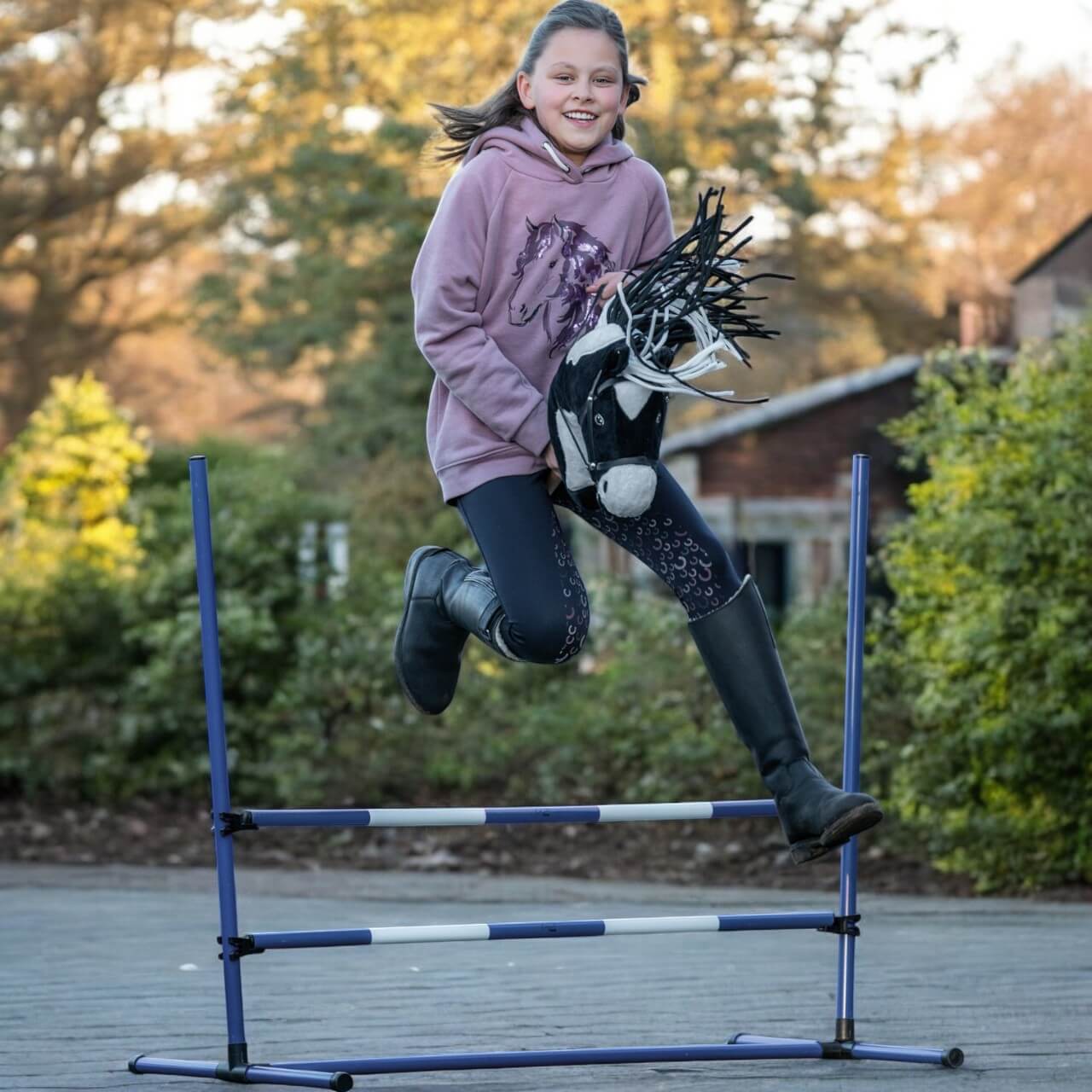 Sprung-Set Hobby Horsing
