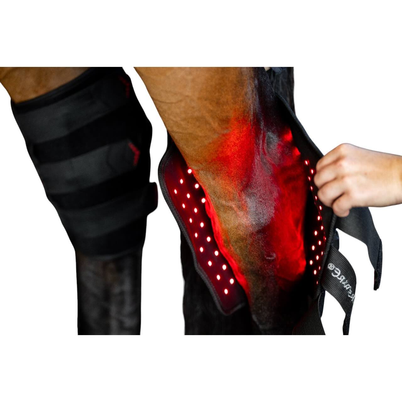 Sprunggelenksgamasche Vorderbein LED-Rotlicht-Therapie Therapiegamasche