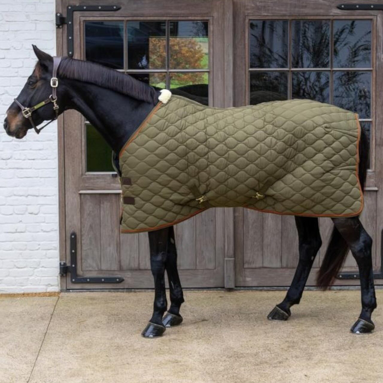 Stalldecke 160g Wave Übergangsdecke