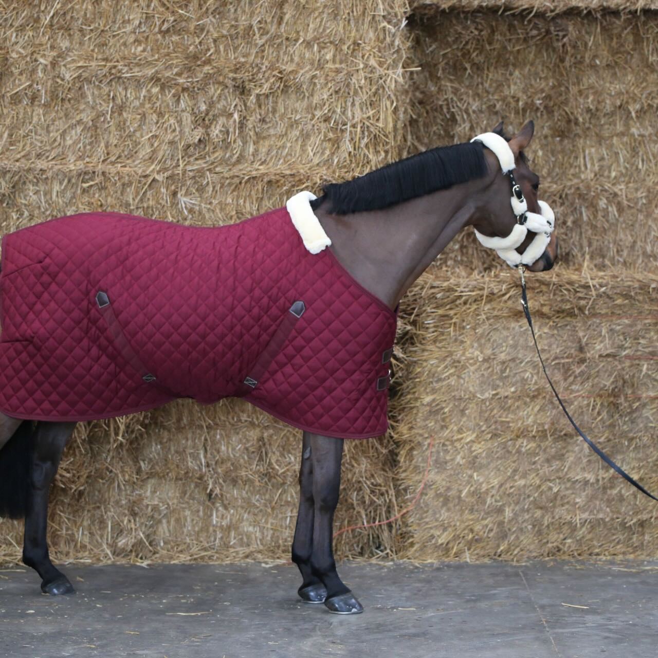 Stalldecke 400g Stable Rug Pferdedecke