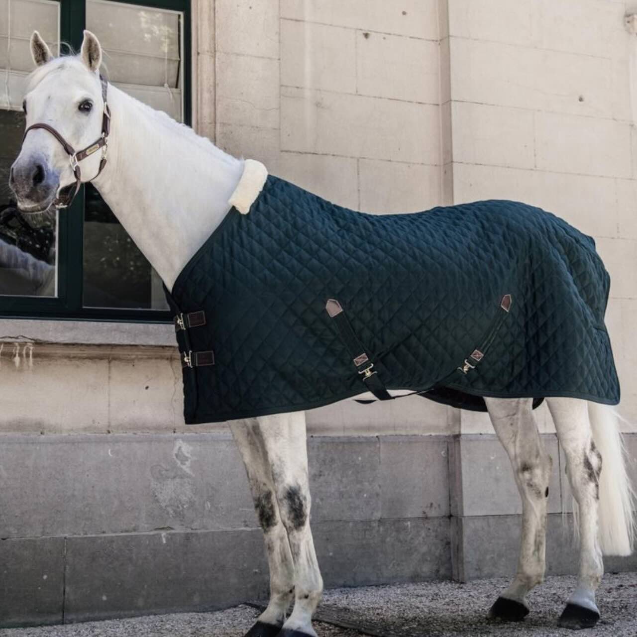 Stalldecke 400g Stable Rug Pferdedecke