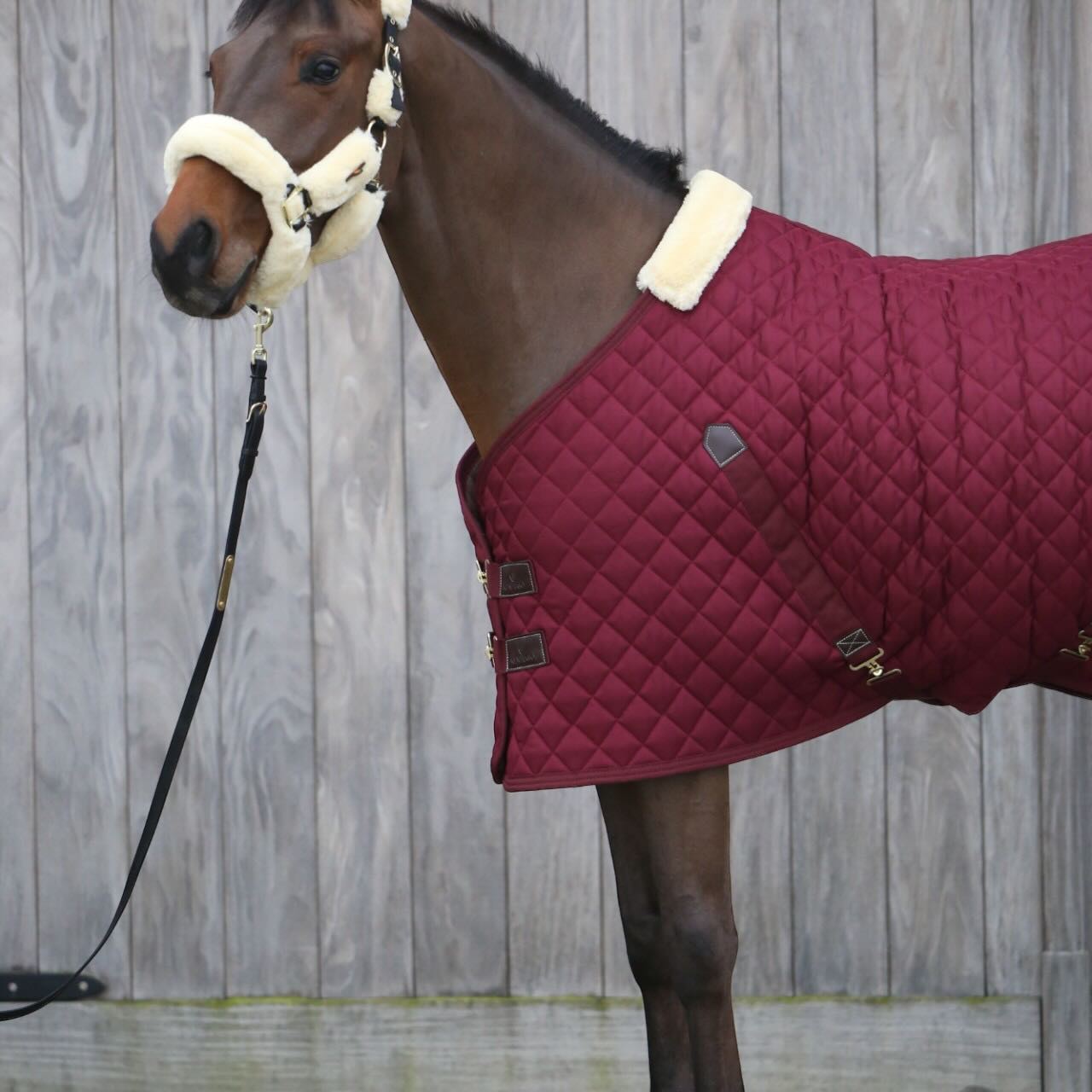 Stalldecke 400g Stable Rug Pferdedecke
