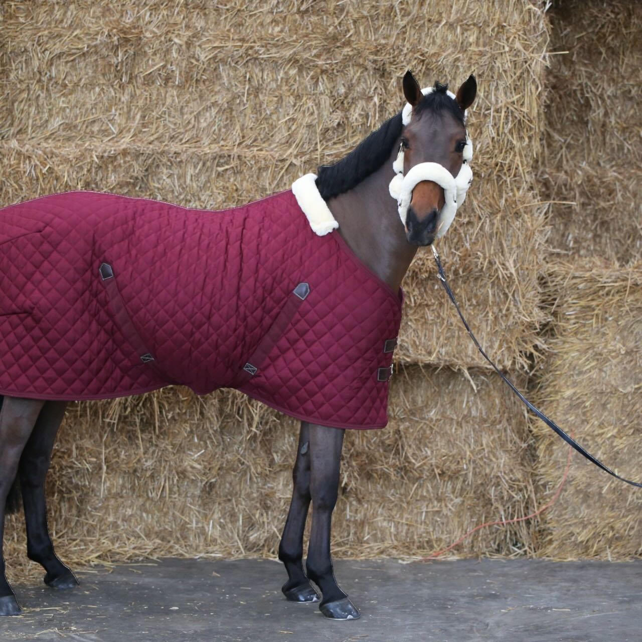 Stalldecke 400g Stable Rug Pferdedecke