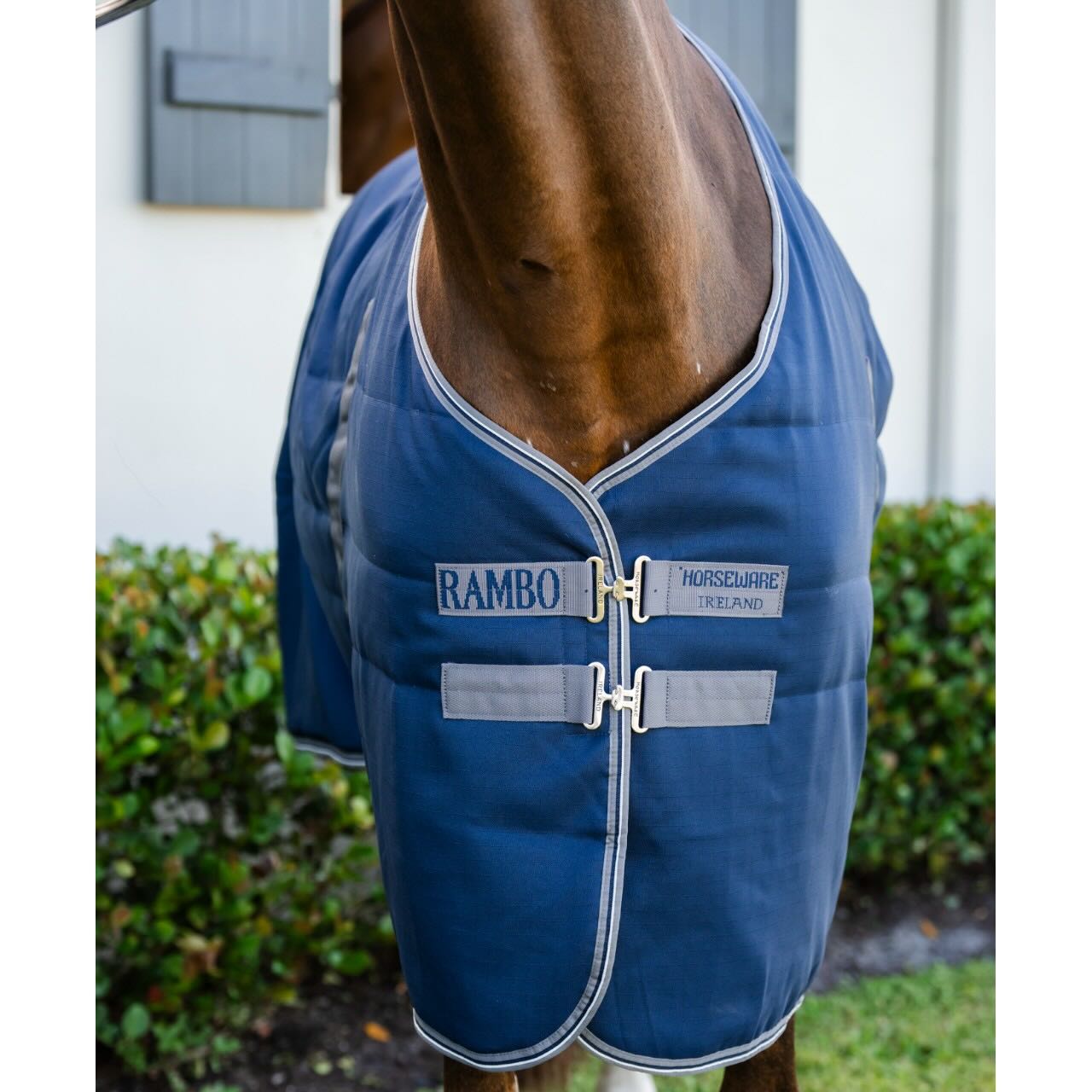 Stalldecke Rambo Stable Rug 200g Winterdecke