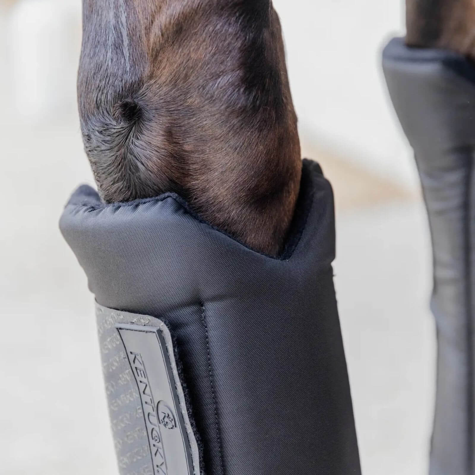 Stallgamaschen PROtect Classic (Vorne) Gamaschen