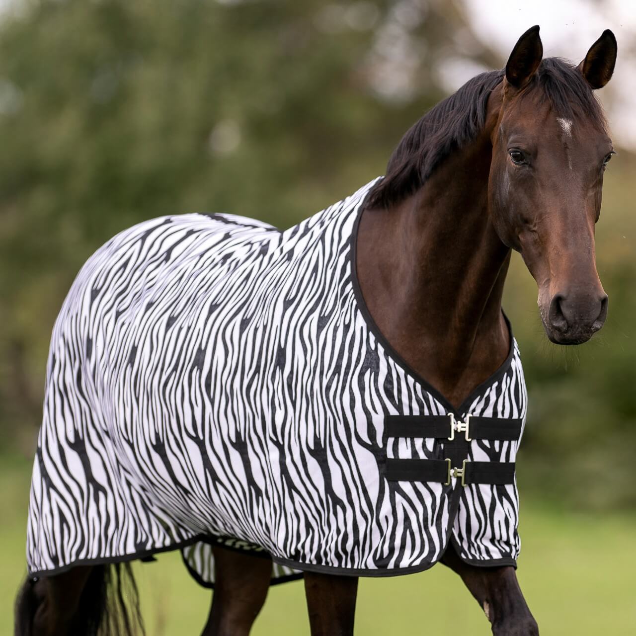Outdoor-Fliegendecke Comfort Flexi Zebra Decke