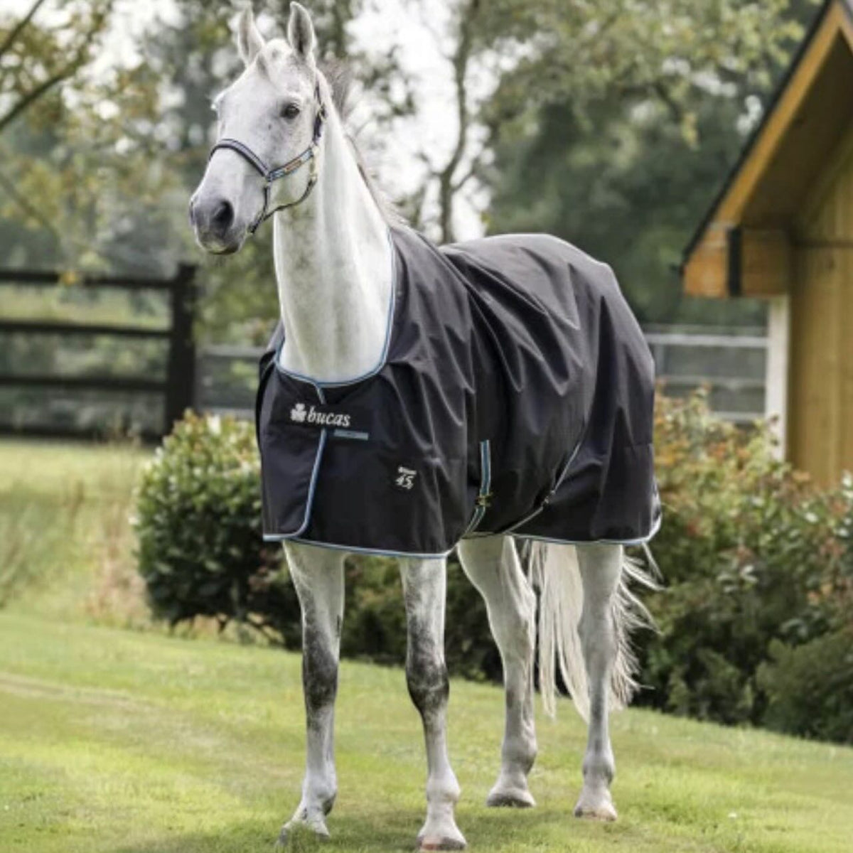 Outdoordecke 100g Anniversary Turnout SD Weidedecke