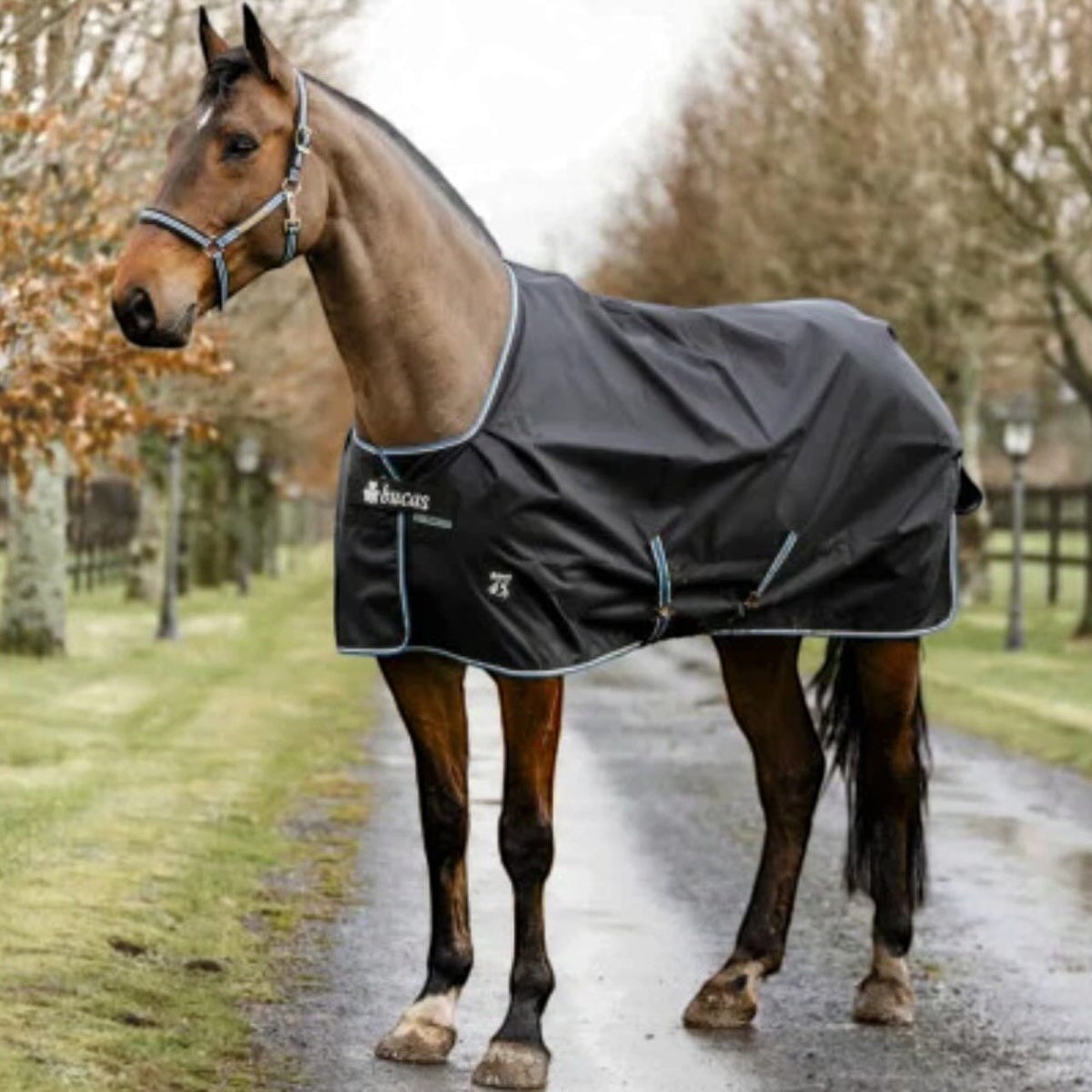 Outdoordecke 0g Anniversary Turnout Light SD Regendecke