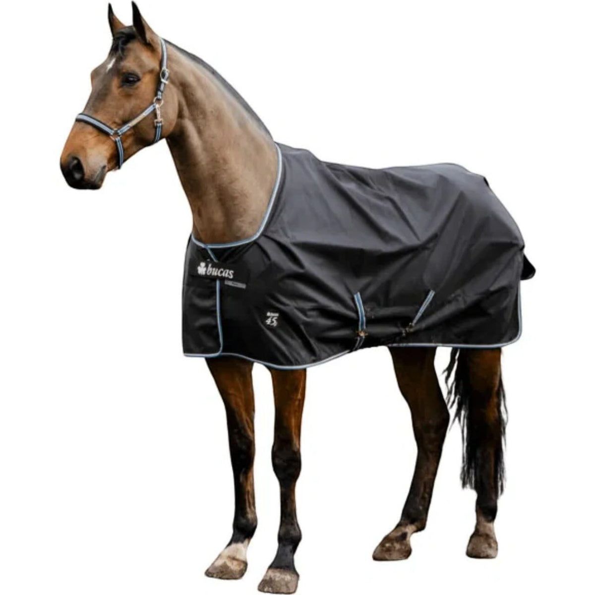 Outdoordecke 0g Anniversary Turnout Light SD Regendecke