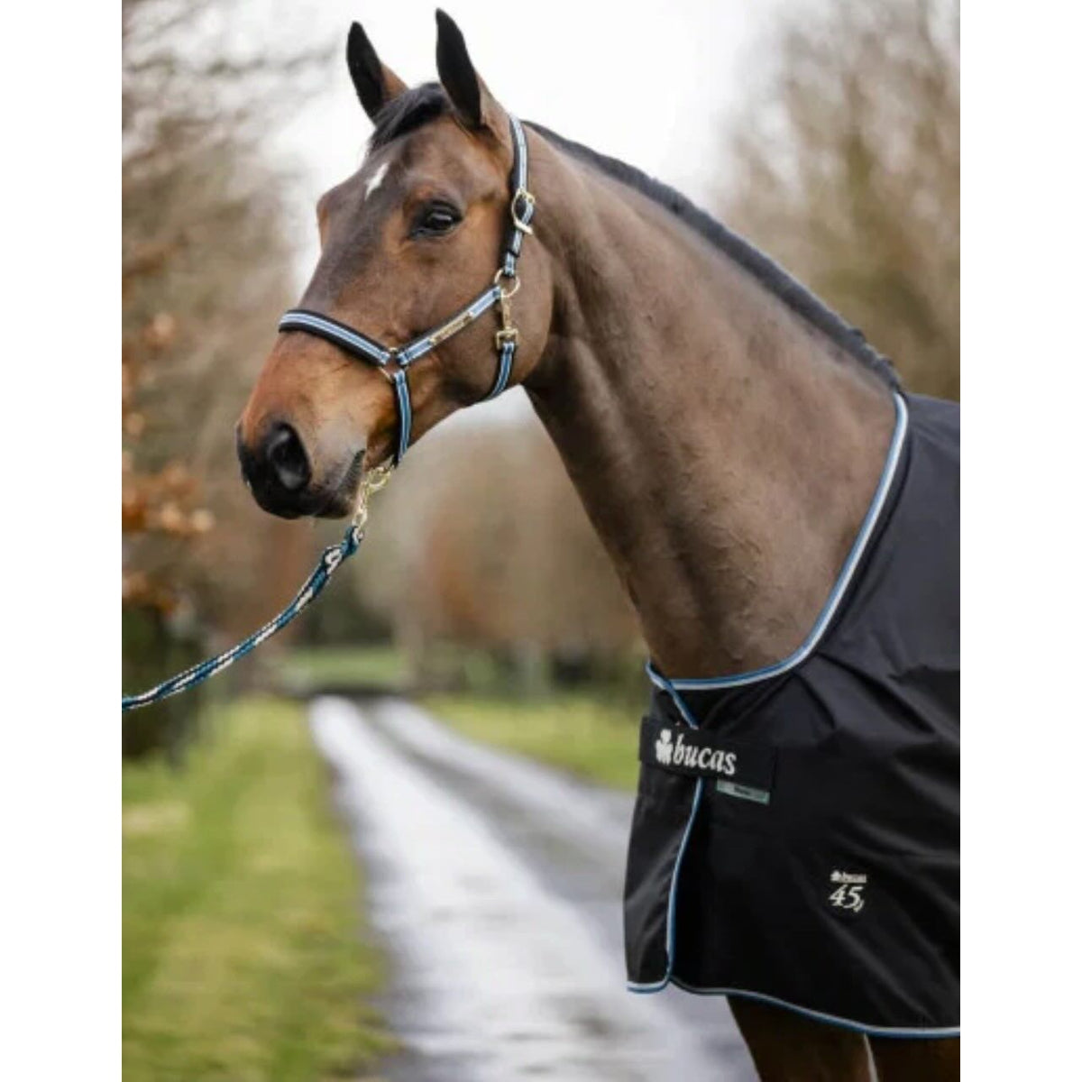 Outdoordecke 100g Anniversary Turnout SD Weidedecke