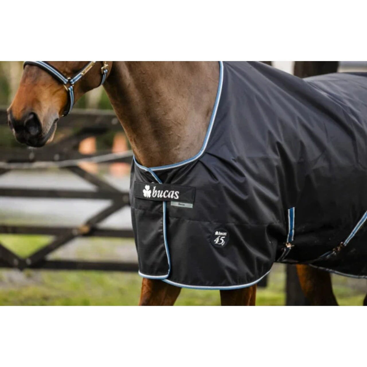 Outdoordecke 100g Anniversary Turnout SD Weidedecke