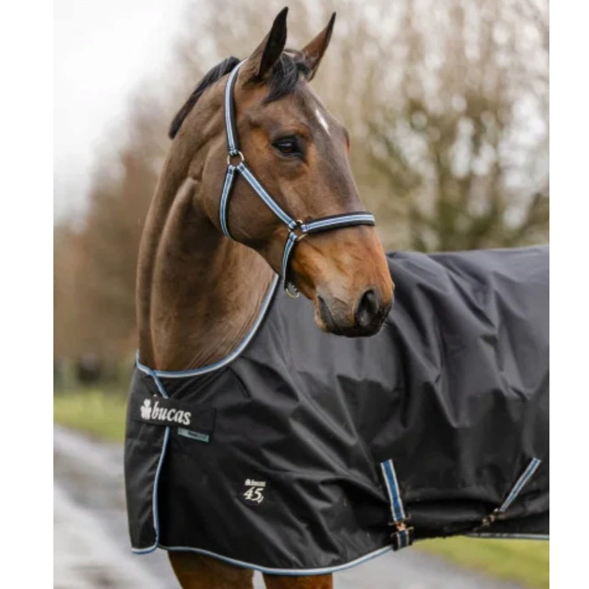 Outdoordecke 100g Anniversary Turnout SD Weidedecke