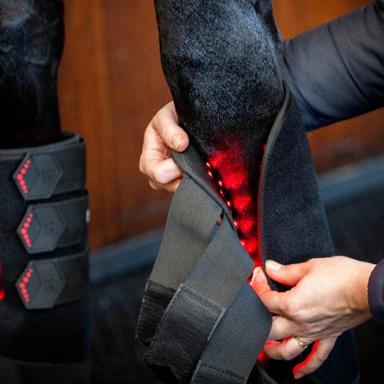 Therapiegamasche Vorderbein LED-Rotlicht-Therapie Gamaschen
