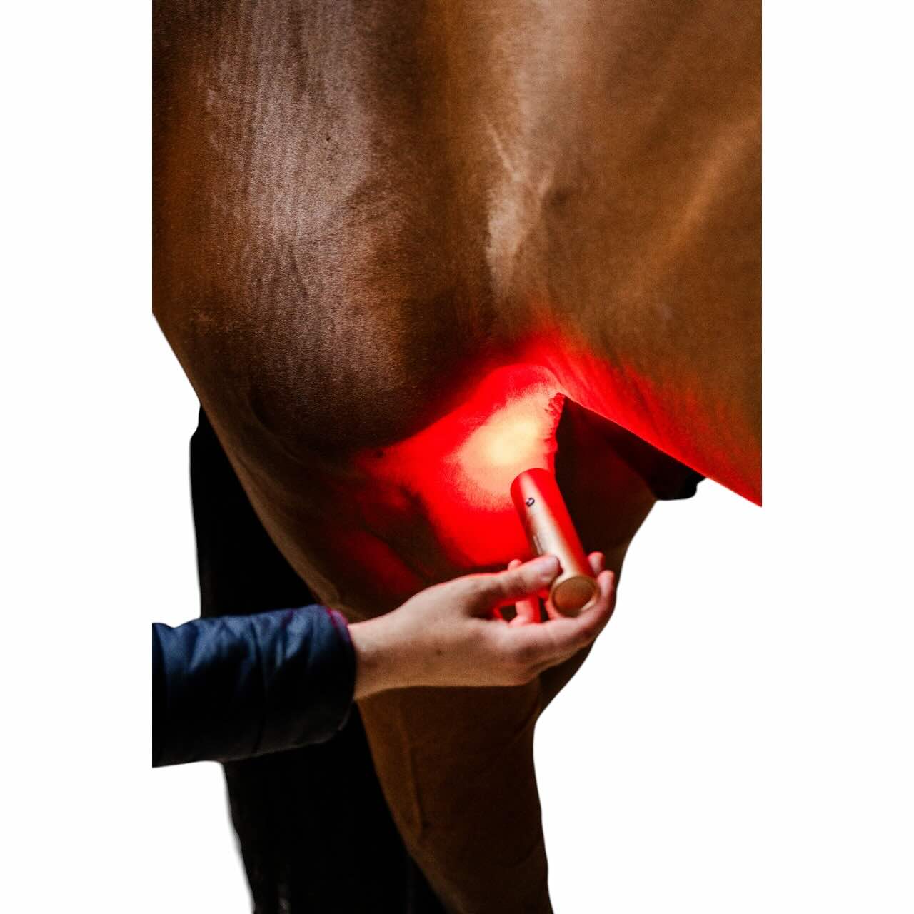 Therapiestab für LED-Rotlicht-Therapie