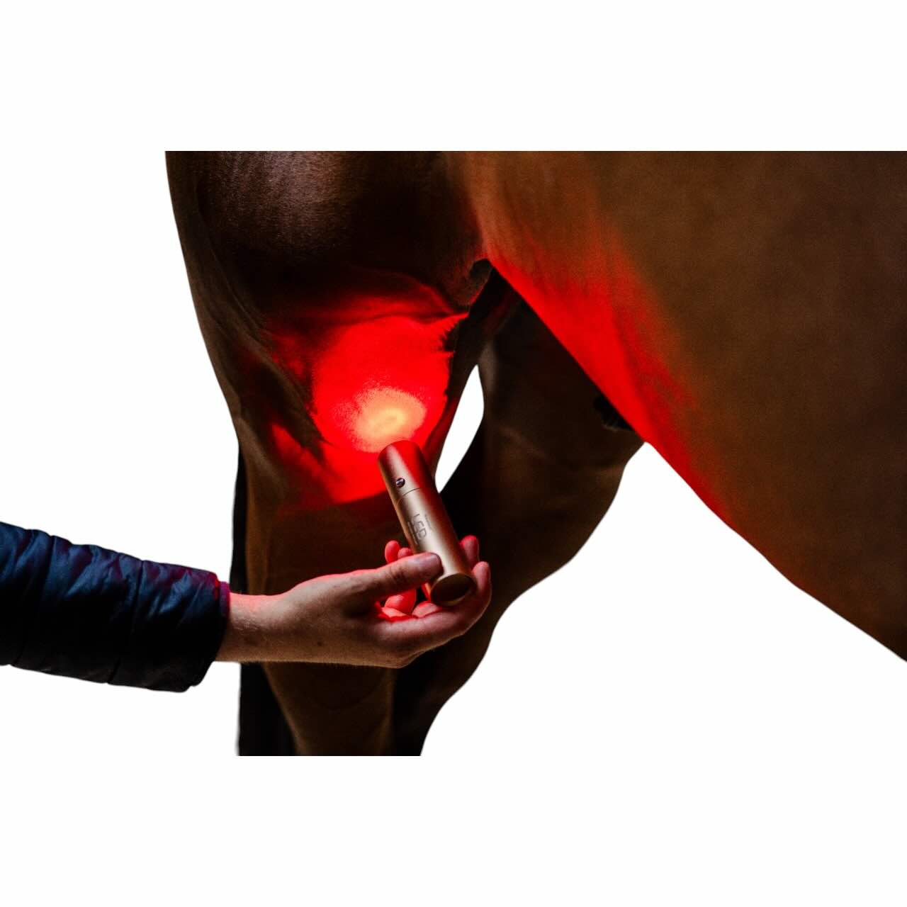 Therapiestab für LED-Rotlicht-Therapie