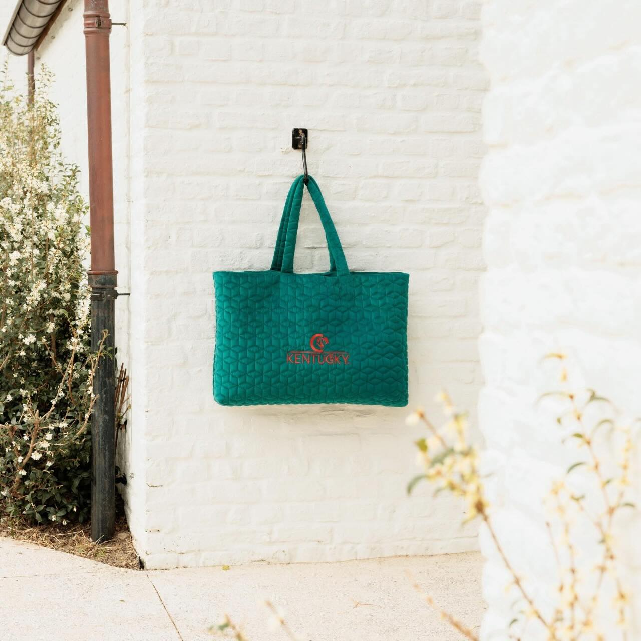 Tragetasche Velvet Tasche