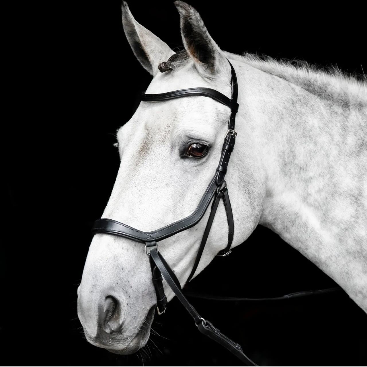 Trense Micklem Bitless Bridle Trensenzaum