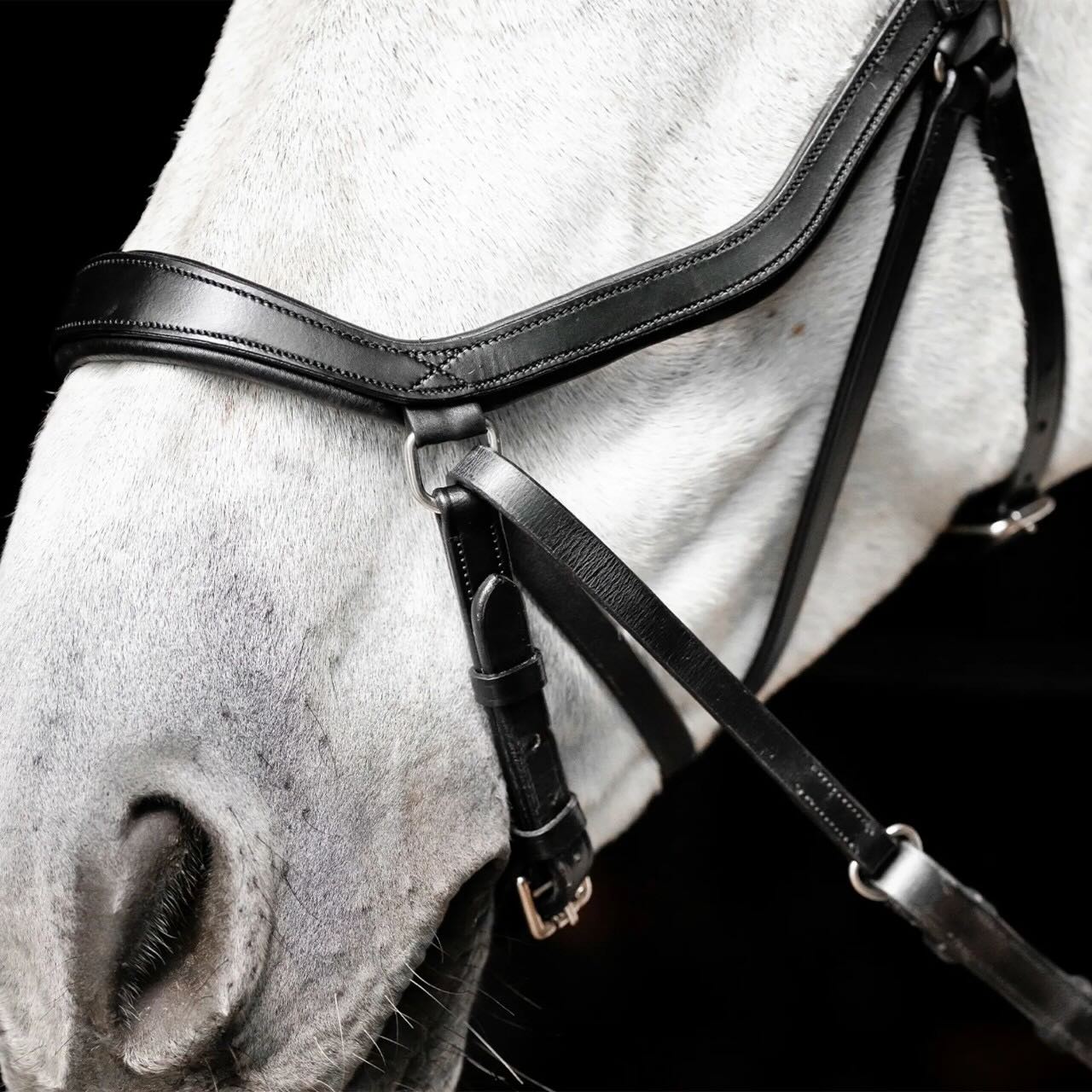 Trense Micklem Bitless Bridle Trensenzaum