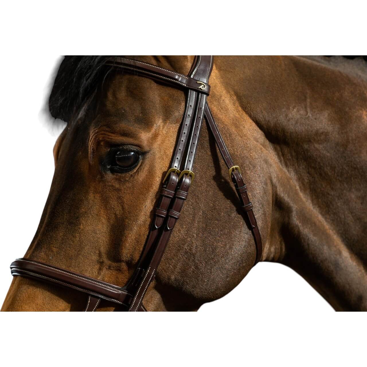 Trense mit Doppelreithalfter Dyon Collection