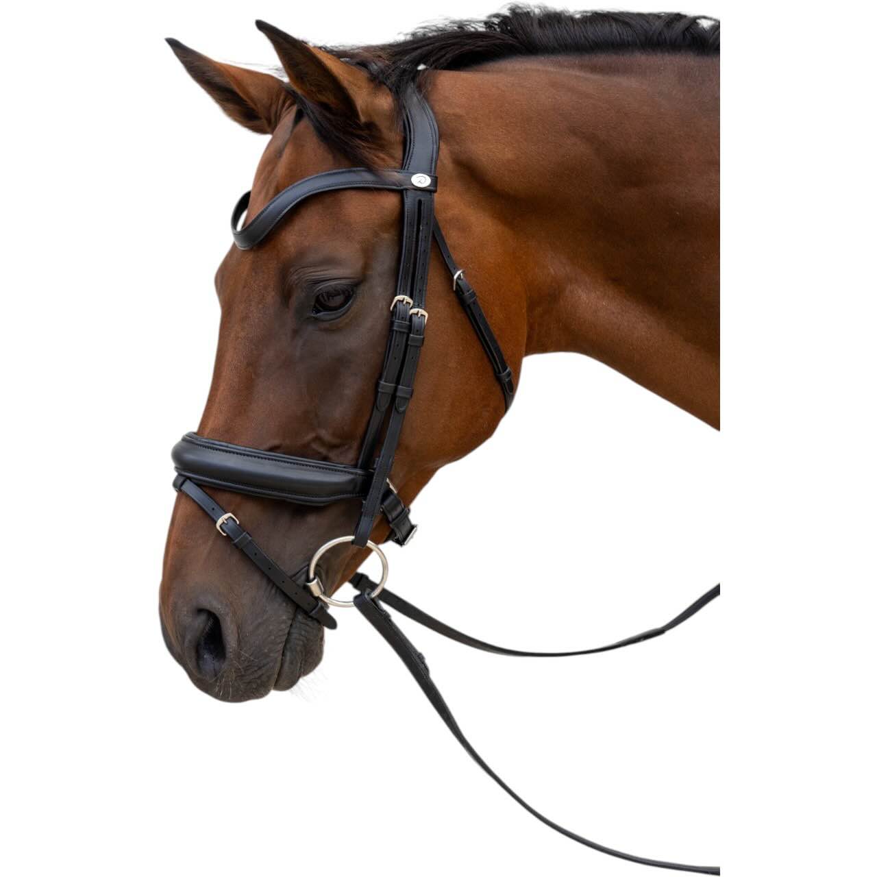 Trense mit kombiniertem Reithalfter Medium Soft Leather Collection Trensenzaum