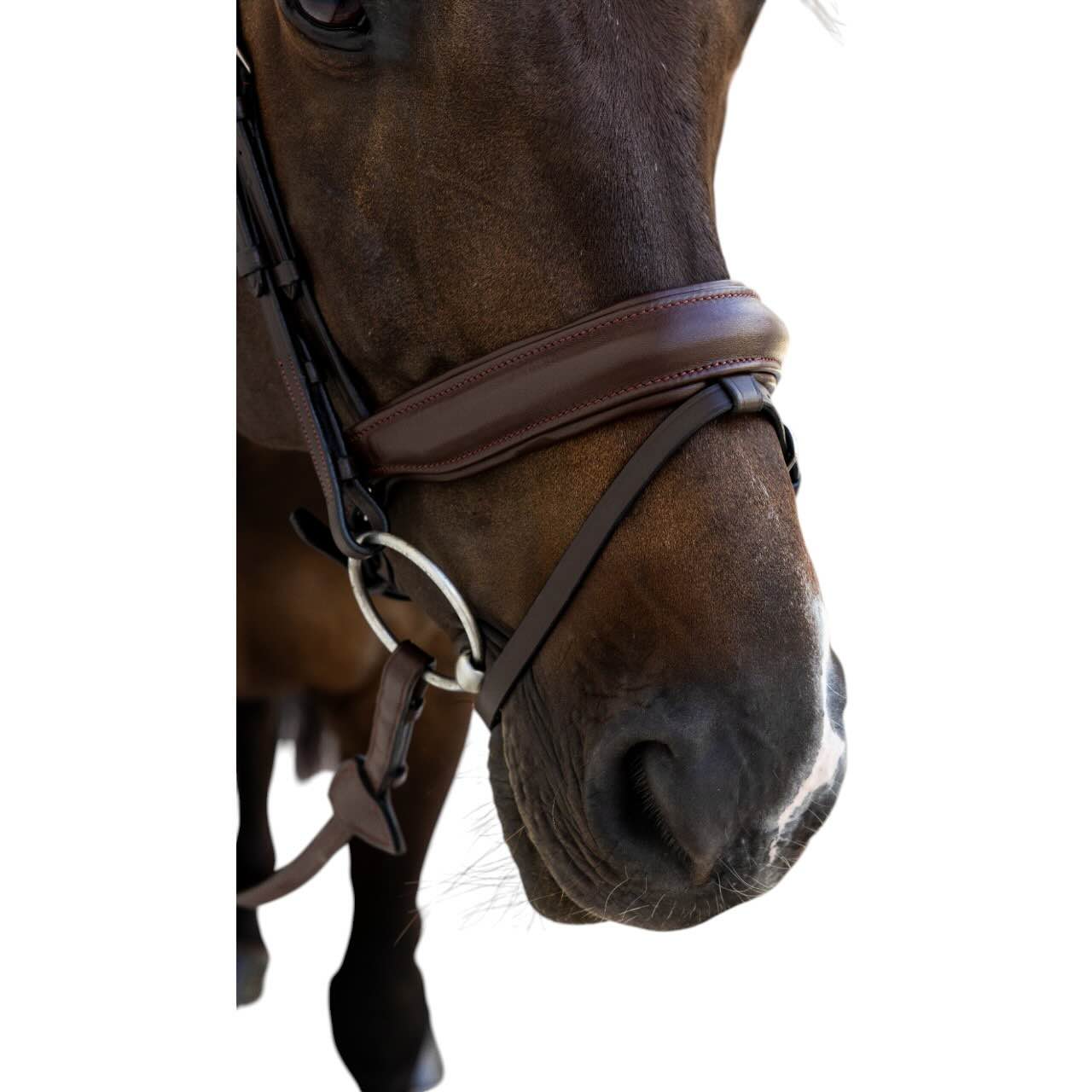 Trense mit kombiniertem Reithalfter Medium Soft Leather Collection Trensenzaum