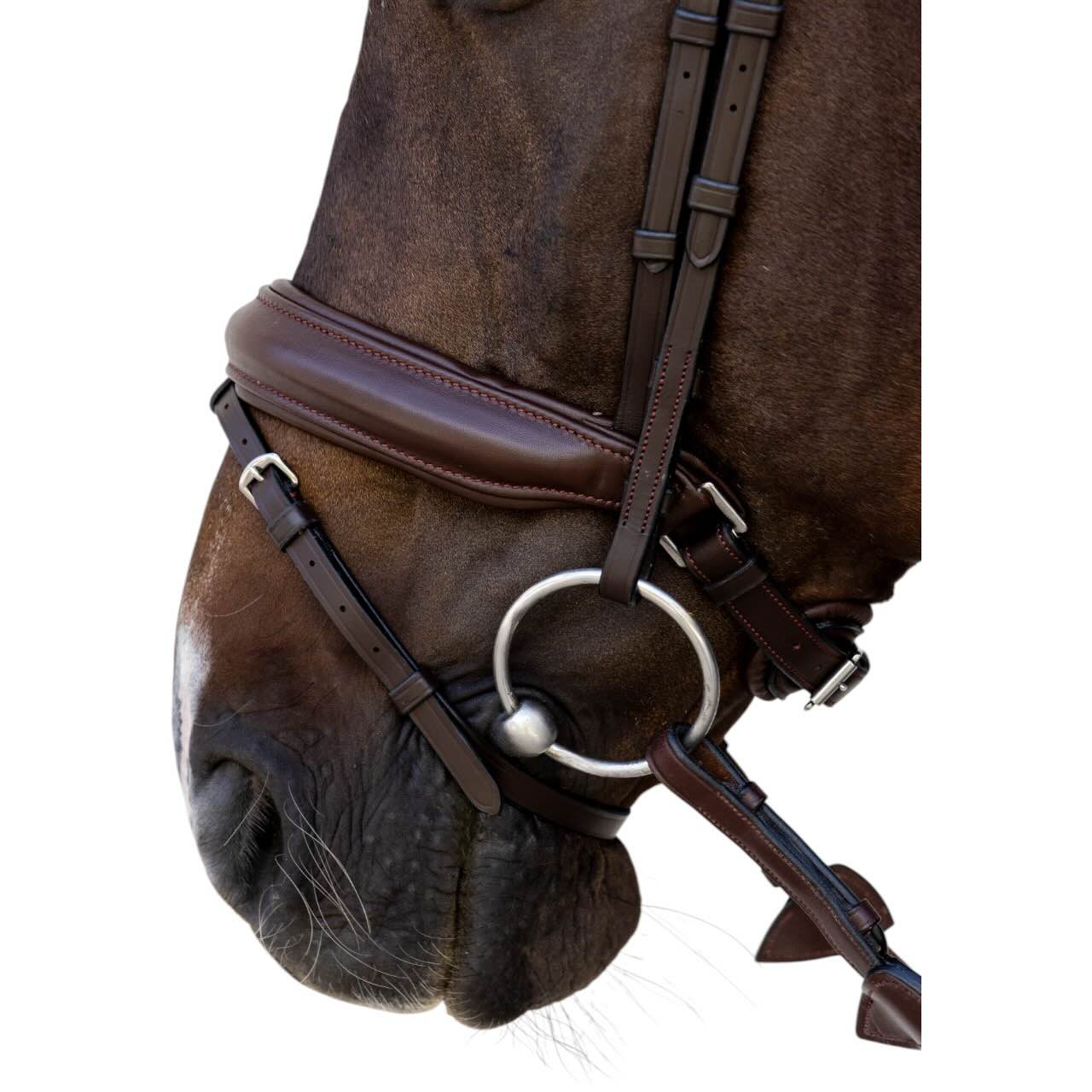 Trense mit kombiniertem Reithalfter Medium Soft Leather Collection Trensenzaum