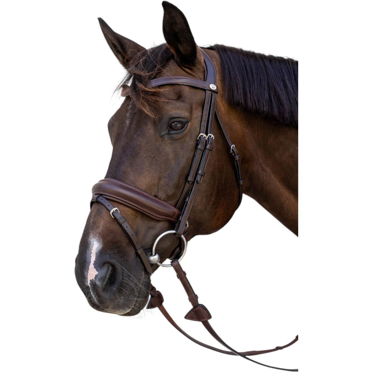 Trense mit kombiniertem Reithalfter Medium Soft Leather Collection Trensenzaum