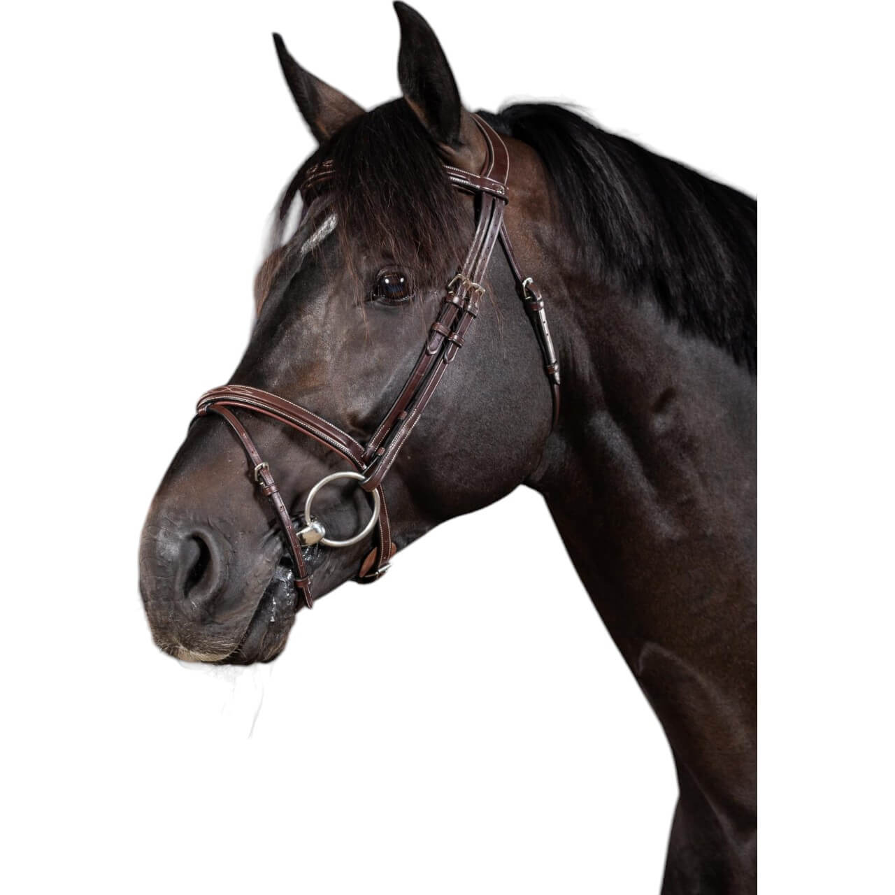 Trense mit kombiniertem Reithalfter US Jumping Collection