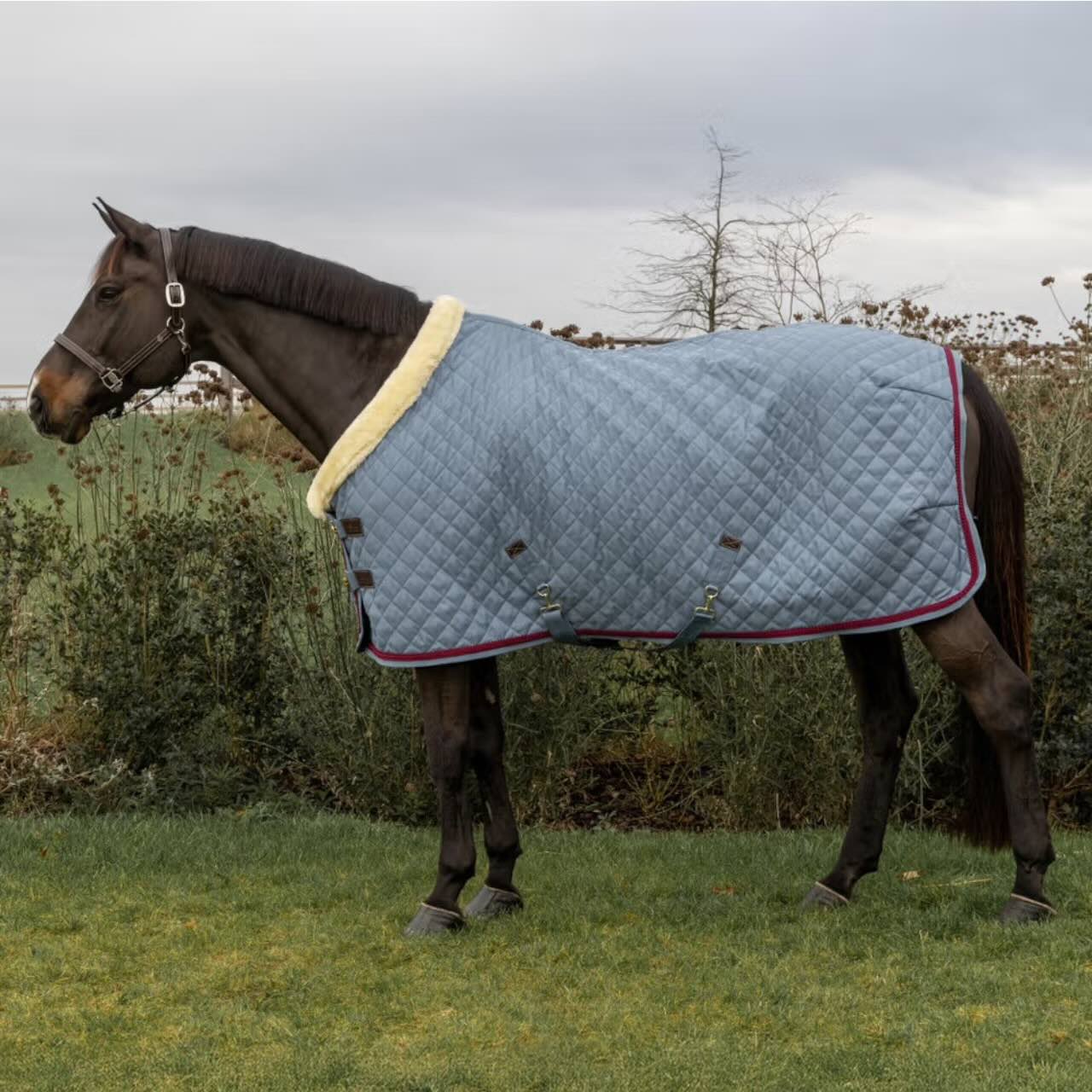 Turnierdecke 160g mit geflochtener Kordel Show Rug