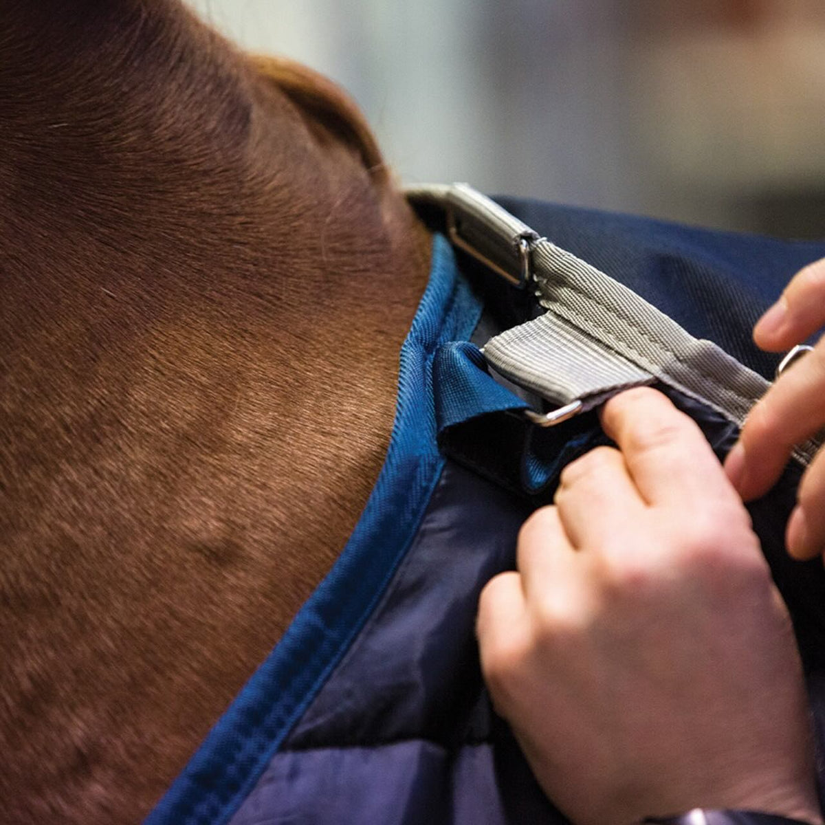 Horseware Ireland Unterdecke 100g Liner, Navy, Detailaufnahme am Pferd mit Hand am Verschluss.