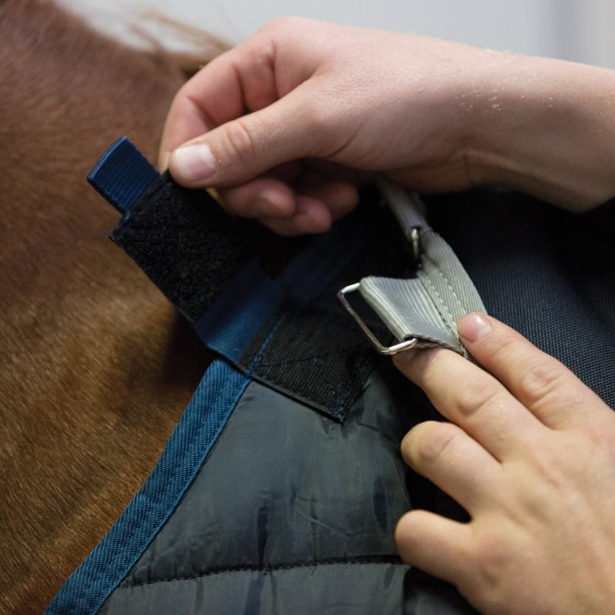 Horseware Ireland Unterdecke 100g Liner, Detailaufnahme mit Befestigung am Pferd.